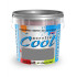 COOL AQUA PAINT 1 lit – zlatno žuta 02